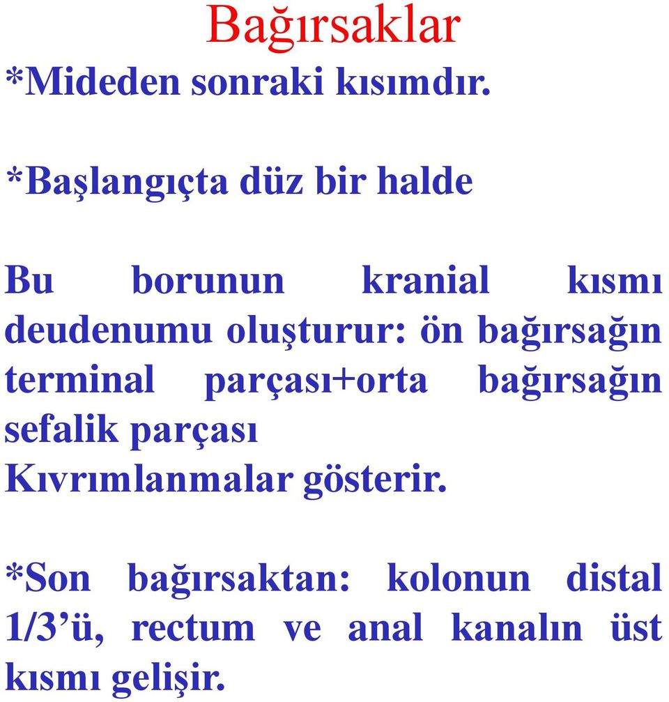 oluşturur: ön bağırsağın terminal parçası+orta bağırsağın sefalik