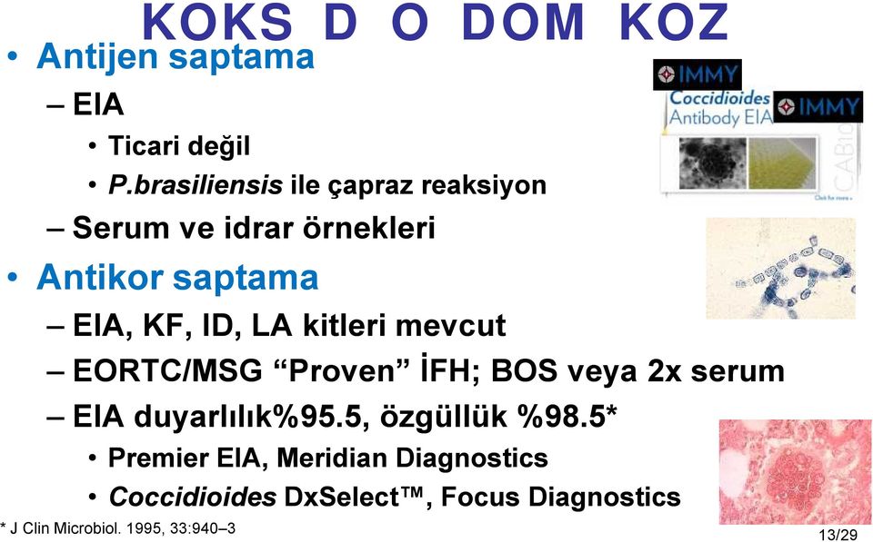 LA kitleri mevcut EORTC/MSG Proven İFH; BOS veya 2x serum EIA duyarlılık%95.