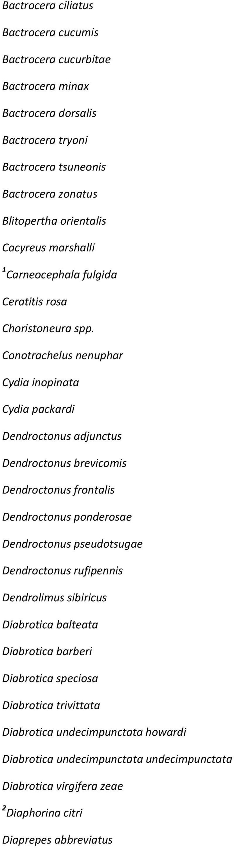 Conotrachelus nenuphar Cydia inopinata Cydia packardi Dendroctonus adjunctus Dendroctonus brevicomis Dendroctonus frontalis Dendroctonus ponderosae Dendroctonus pseudotsugae