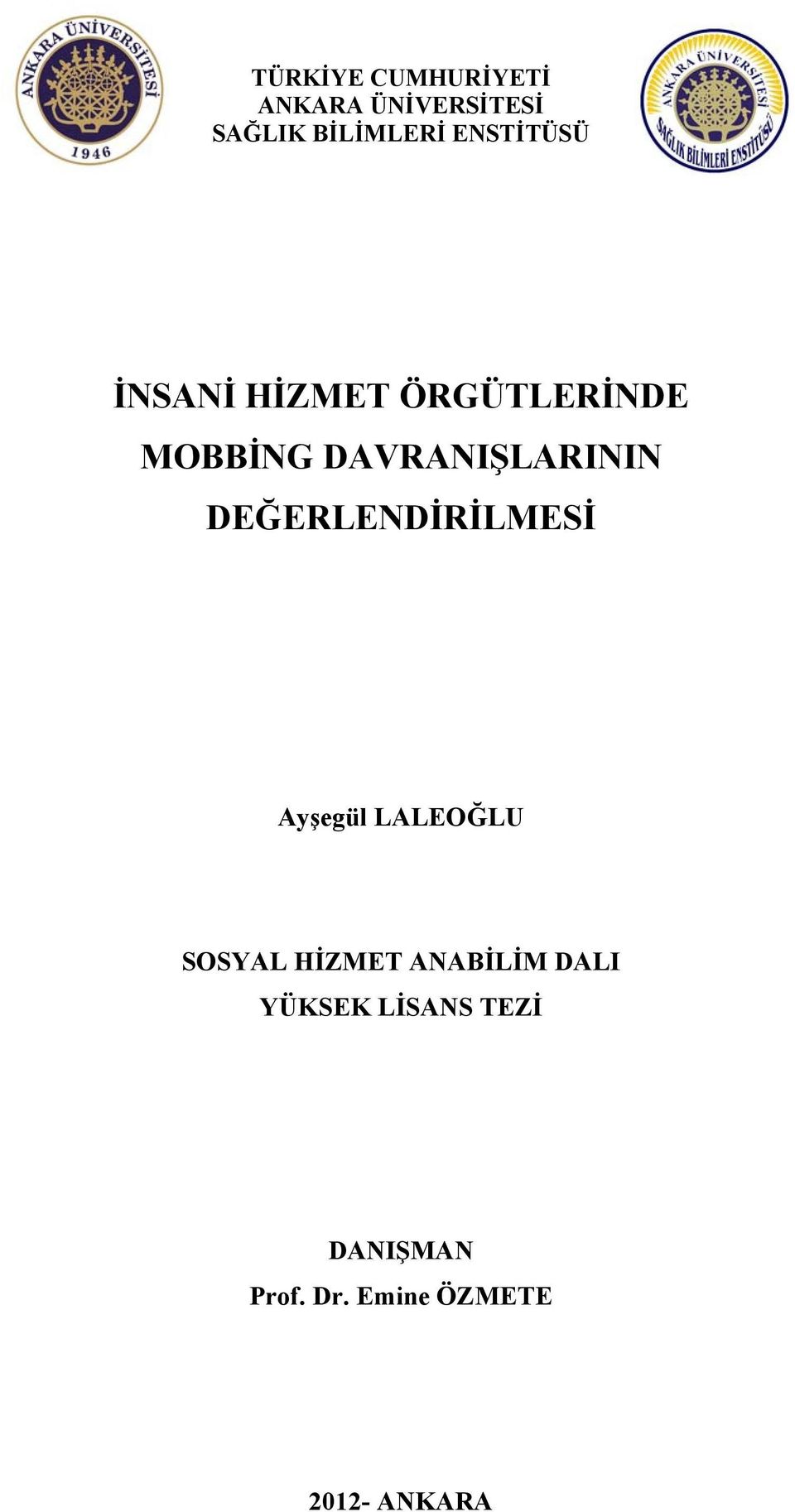 DEĞERLENDİRİLMESİ Ayşegül LALEOĞLU SOSYAL HİZMET ANABİLİM