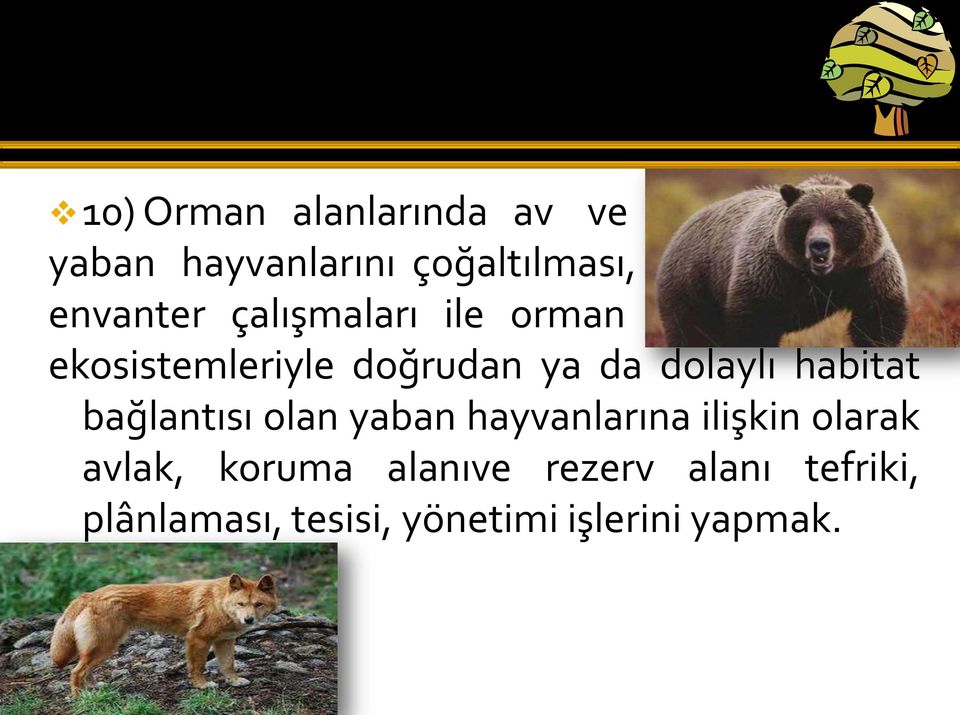 bağlantısı olan yaban hayvanlarına ilişkin olarak avlak, koruma