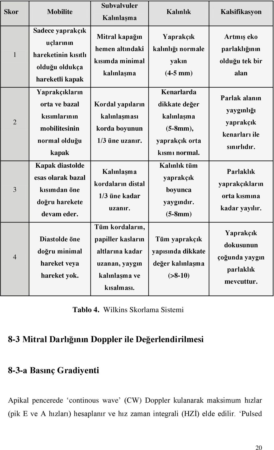 korda boyunun 1/3 üne uzanır. Kenarlarda dikkate değer kalınlaģma (5-8mm), yaprakçık orta kısmı normal. Parlak alanın yaygınlığı yaprakçık kenarları ile sınırlıdır.