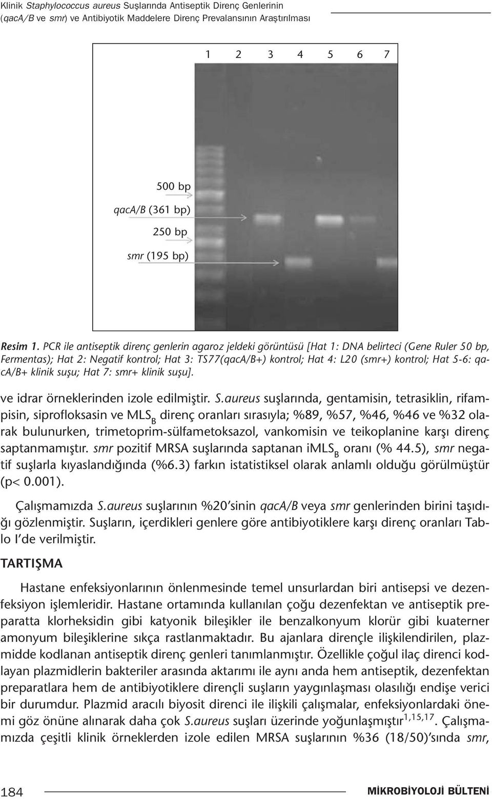 PCR ile antiseptik direnç genlerin agaroz jeldeki görüntüsü [Hat 1: DNA belirteci (Gene Ruler 50 bp, Fermentas); Hat 2: Negatif kontrol; Hat 3: TS77(qacA/B+) kontrol; Hat 4: L20 (smr+) kontrol; Hat