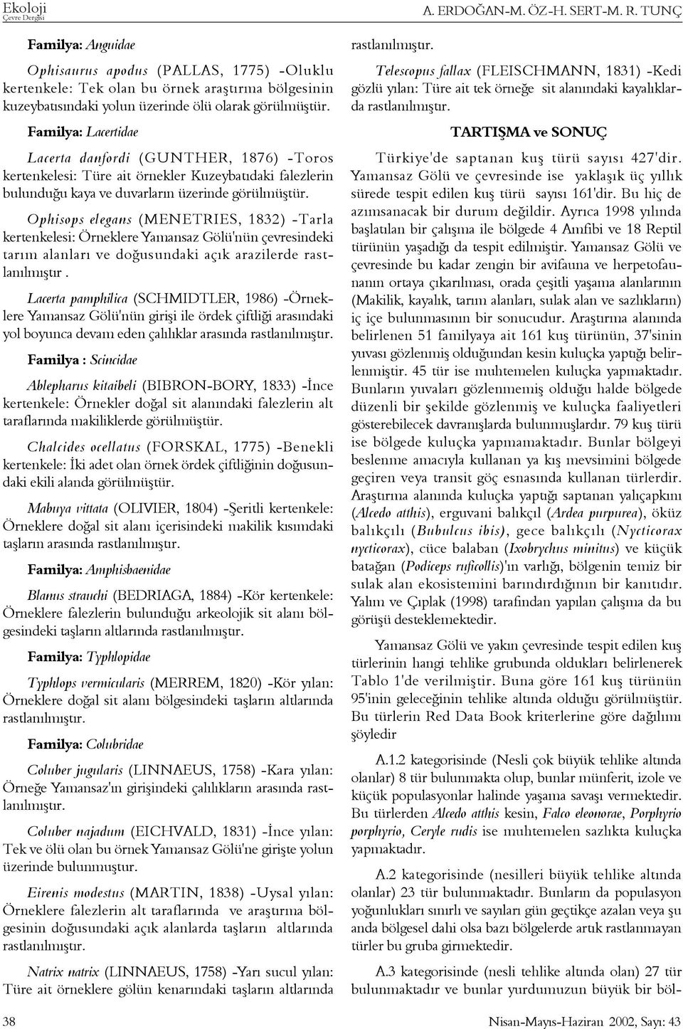 Ophisops elegans (MENETRIES, 1832) -Tarla kertenkelesi: Örneklere Yamansaz Gölü'nün çevresindeki tarým alanlarý ve doðusundaki açýk arazilerde rastlanýlmýþtýr.