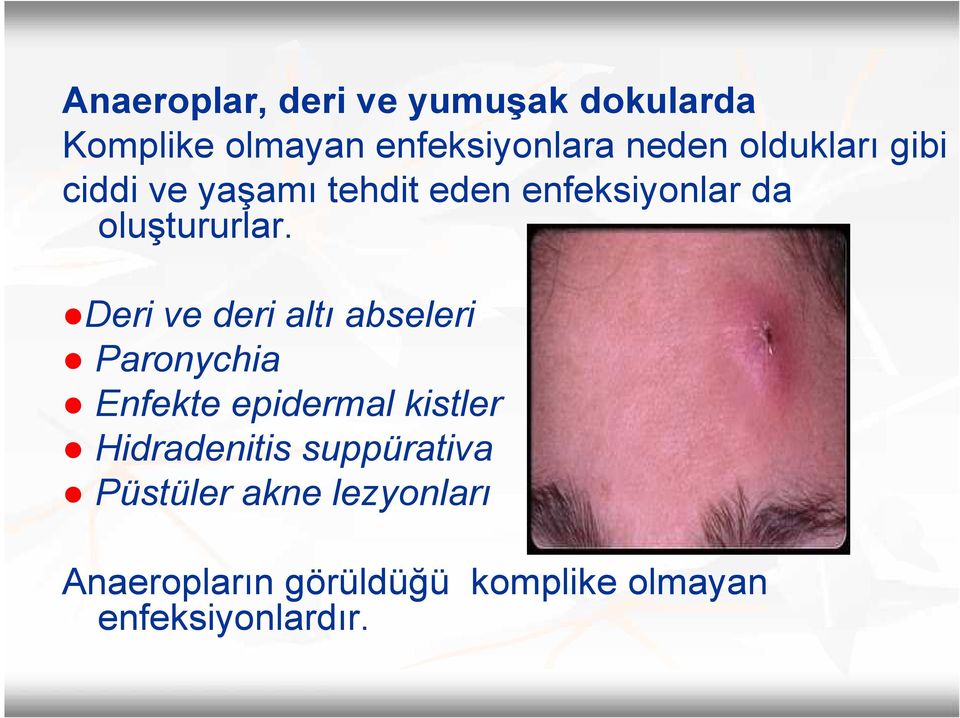 Deri ve deri altı abseleri Paronychia Enfekte epidermal kistler Hidradenitis