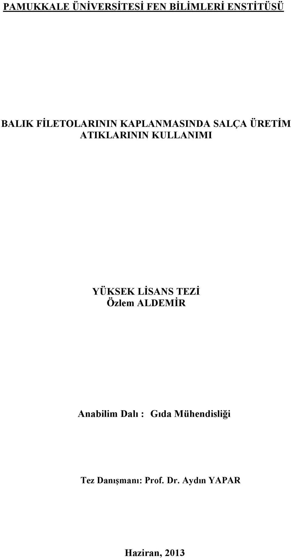 KULLANIMI YÜKSEK LİSANS TEZİ Özlem ALDEMİR Anabilim Dalı :