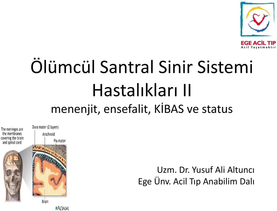 ensefalit, KİBAS ve status Uzm. Dr.