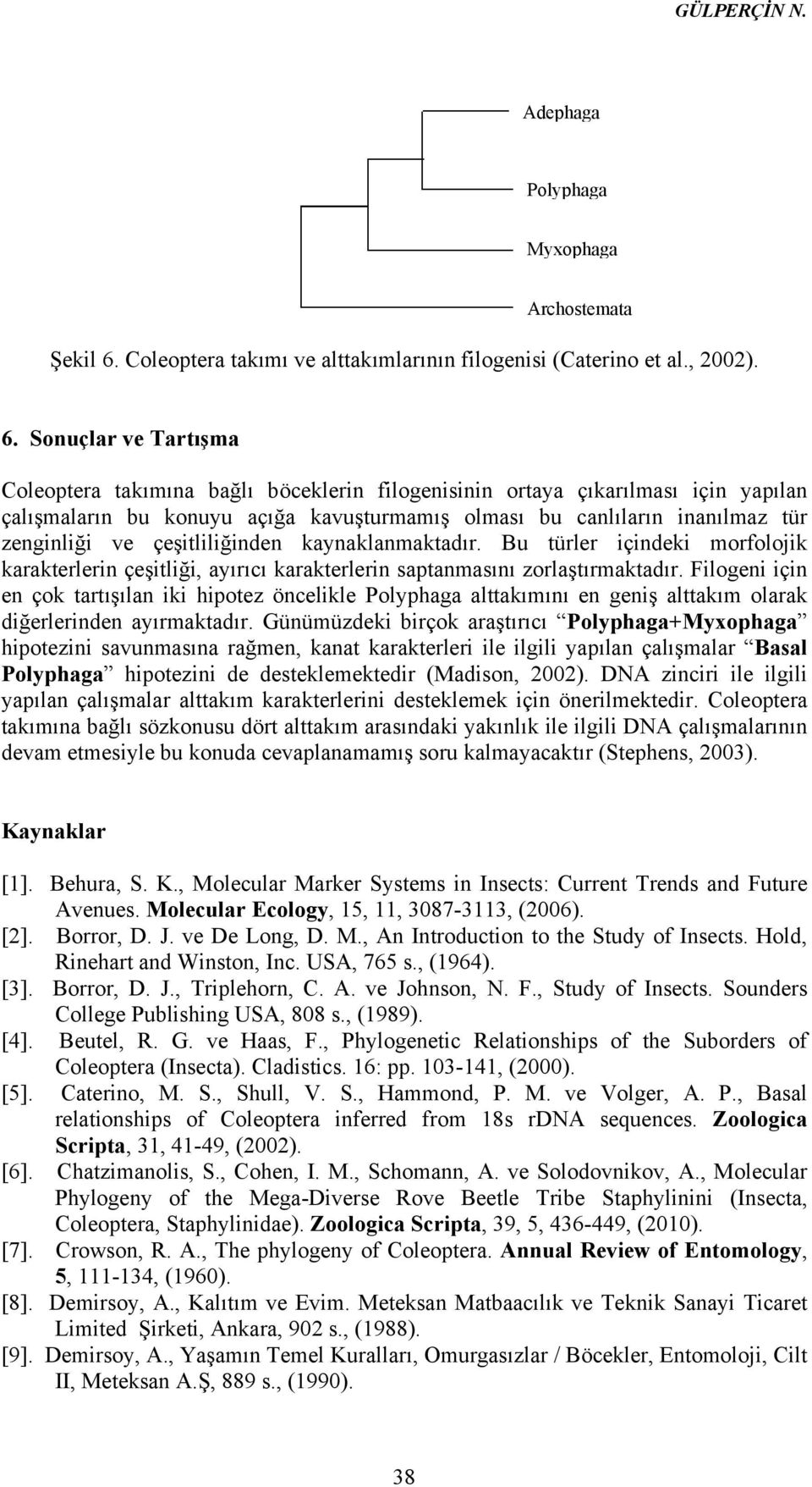 Sonuçlar ve Tartışma Coleoptera takımına bağlı böceklerin filogenisinin ortaya çıkarılması için yapılan çalışmaların bu konuyu açığa kavuşturmamış olması bu canlıların inanılmaz tür zenginliği ve