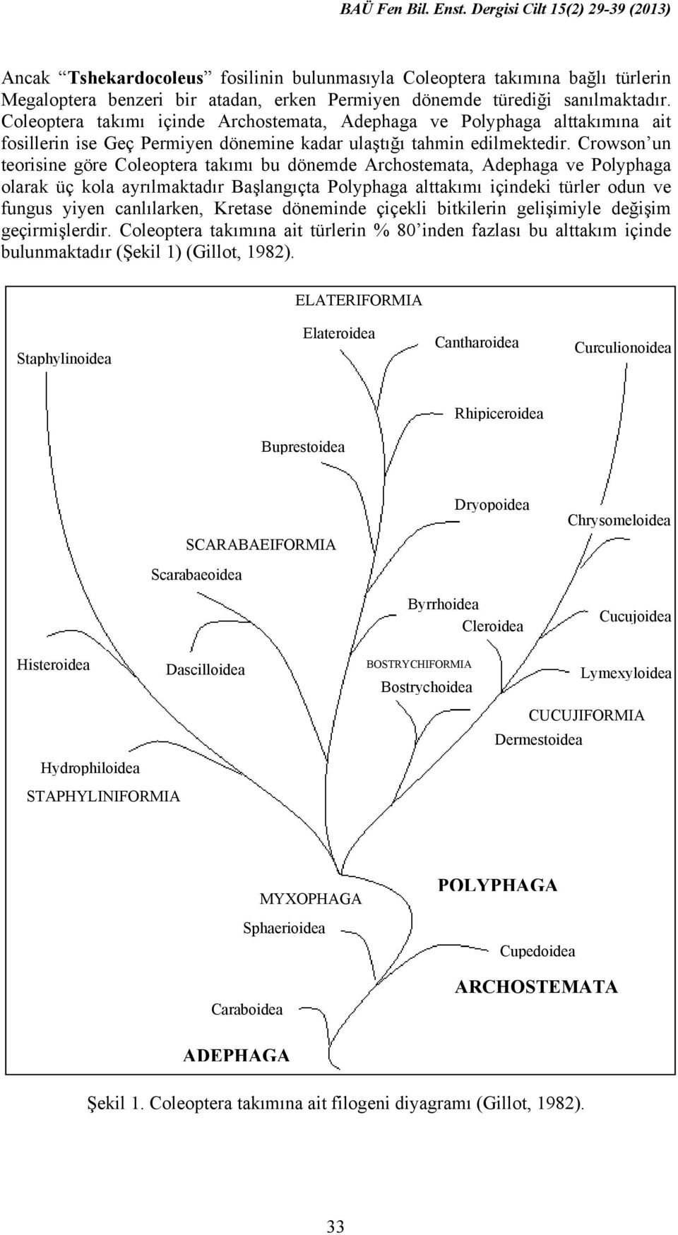 Crowson un teorisine göre Coleoptera takımı bu dönemde Archostemata, Adephaga ve Polyphaga olarak üç kola ayrılmaktadır Başlangıçta Polyphaga alttakımı içindeki türler odun ve fungus yiyen