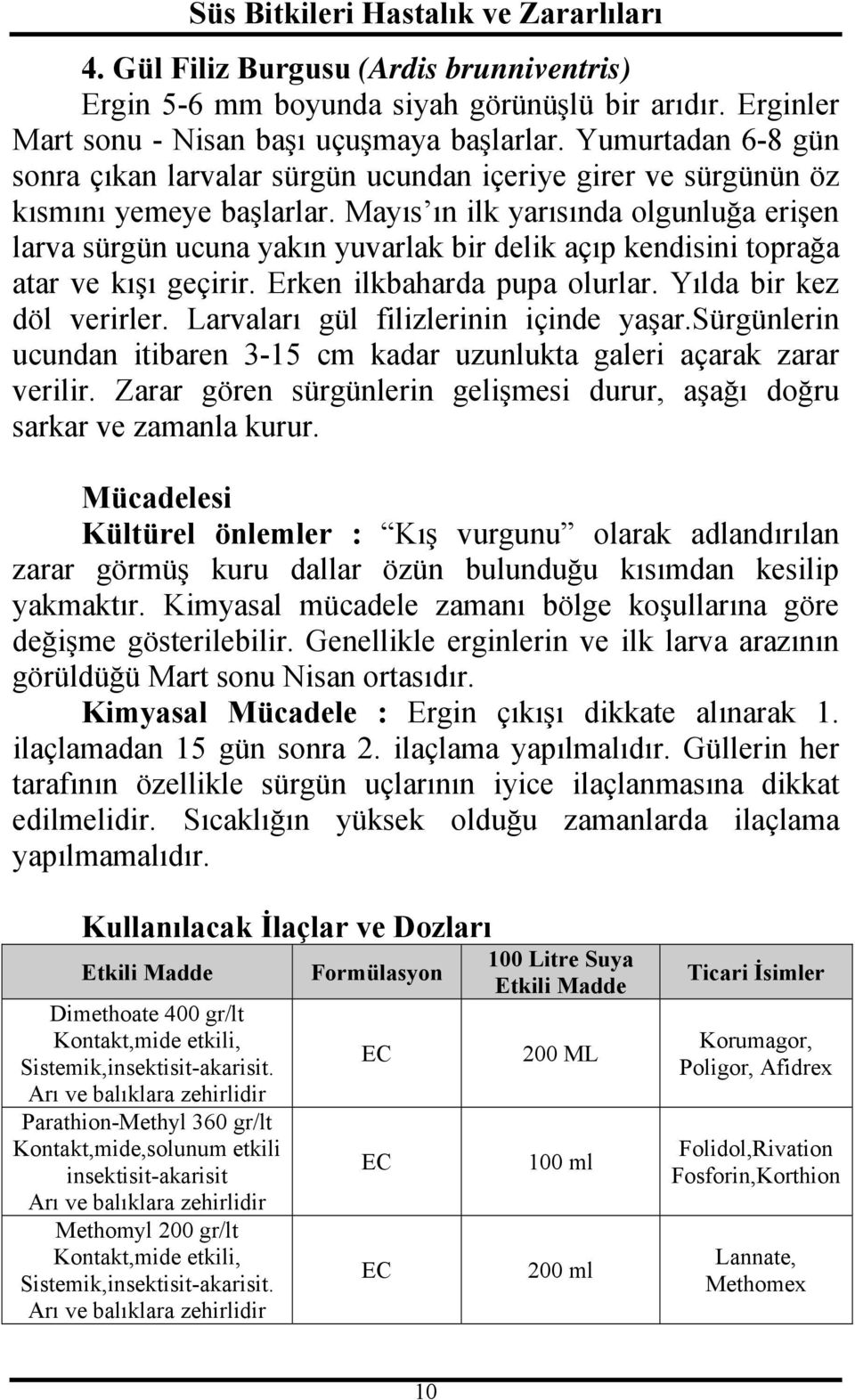 Mayıs ın ilk yarısında olgunluğa erişen larva sürgün ucuna yakın yuvarlak bir delik açıp kendisini toprağa atar ve kışı geçirir. Erken ilkbaharda pupa olurlar. Yılda bir kez döl verirler.