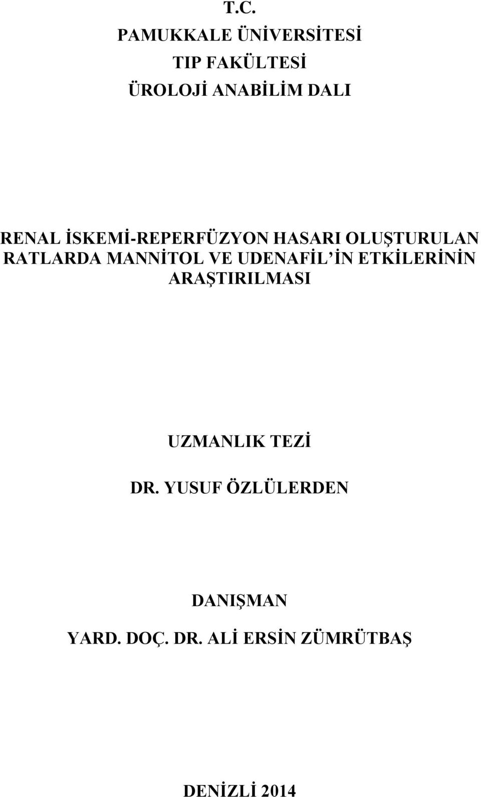 UDENAFİL İN ETKİLERİNİN ARAŞTIRILMASI UZMANLIK TEZİ DR.