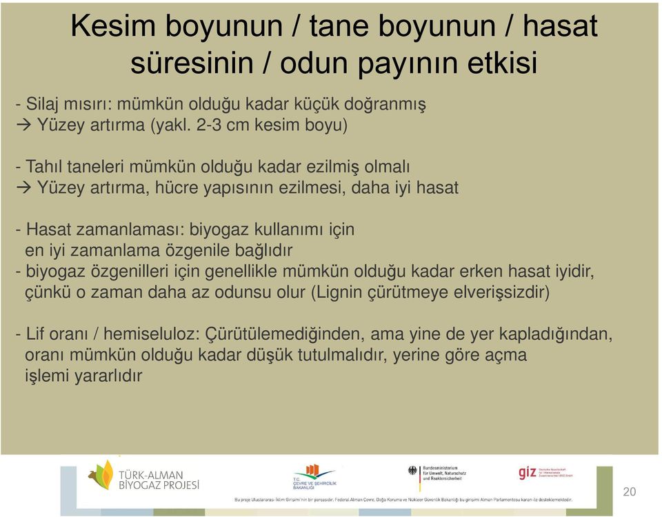 kullanımı için en iyi zamanlama özgenile bağlıdır - biyogaz özgenilleri için genellikle mümkün olduğu kadar erken hasat iyidir, çünkü o zaman daha az odunsu olur