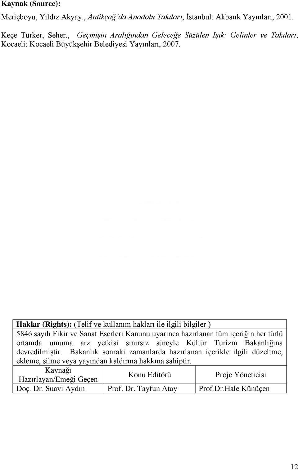 Haklar (Rights): (Telif ve kullanım hakları ile ilgili bilgiler.