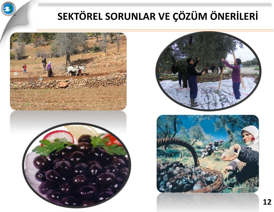 VE ÇÖZÜM