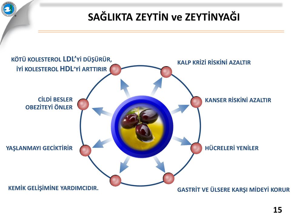 OBEZİTEYİ ÖNLER KANSER RİSKİNİ AZALTIR YAŞLANMAYI GECİKTİRİR HÜCRELERİ