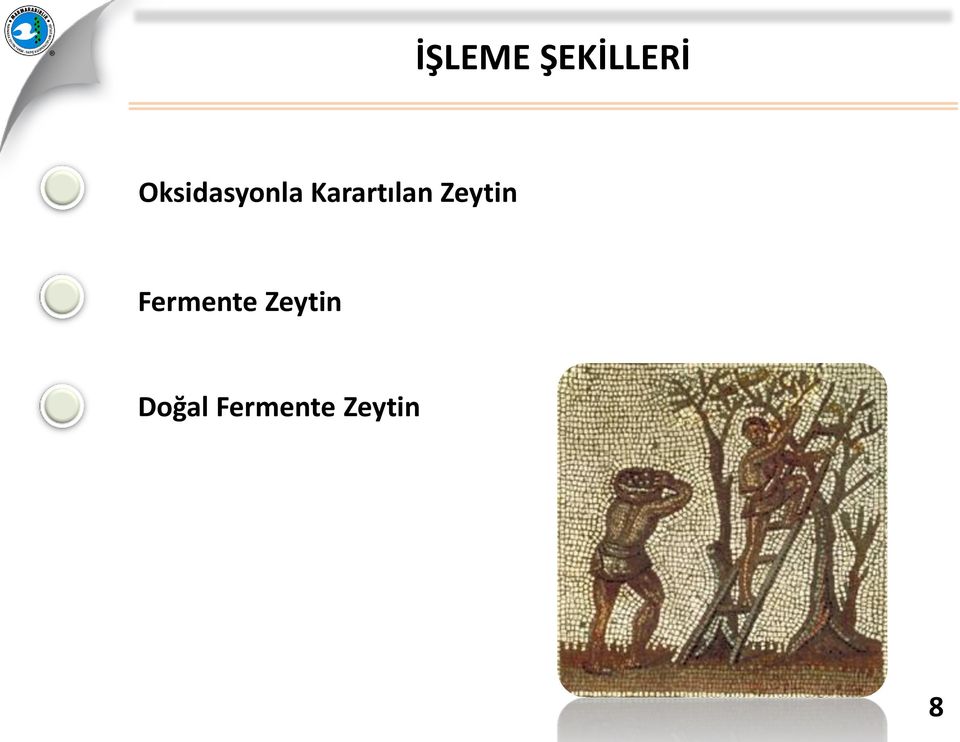 Karartılan Zeytin