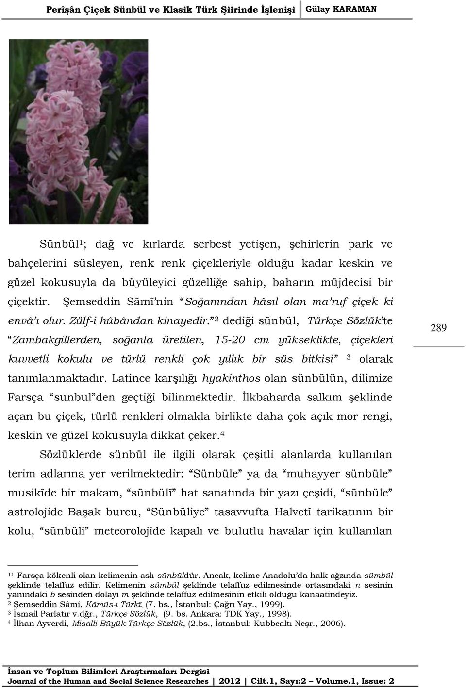 2 dediği sünbül, Türkçe Sözlük te Zambakgillerden, soğanla üretilen, 15-20 cm yükseklikte, çiçekleri kuvvetli kokulu ve türlü renkli çok yıllık bir süs bitkisi 3 olarak tanımlanmaktadır.