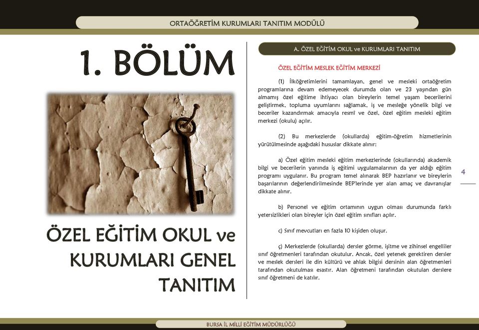 almamış özel eğitime ihtiyacı olan bireylerin temel yaşam becerilerini geliştirmek, topluma uyumlarını sağlamak, iş ve mesleğe yönelik bilgi ve beceriler kazandırmak amacıyla resmî ve özel, özel