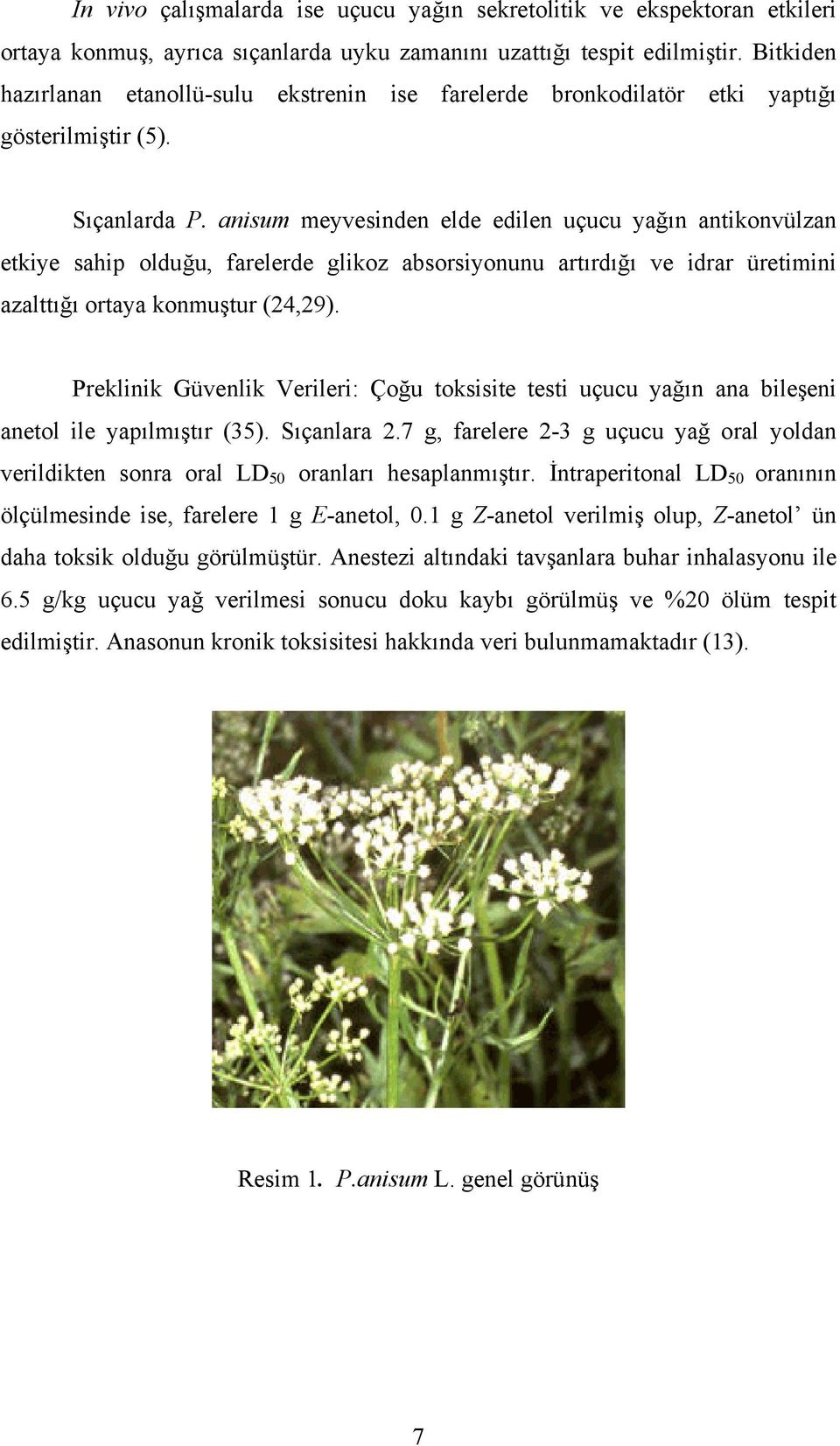 anisum meyvesinden elde edilen uçucu yağın antikonvülzan etkiye sahip olduğu, farelerde glikoz absorsiyonunu artırdığı ve idrar üretimini azalttığı ortaya konmuştur (24,29).