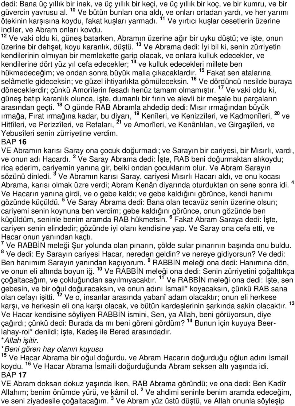 12 Ve vaki oldu ki, güneş batarken, Abramın üzerine ağır bir uyku düştü; ve işte, onun üzerine bir dehşet, koyu karanlık, düştü.