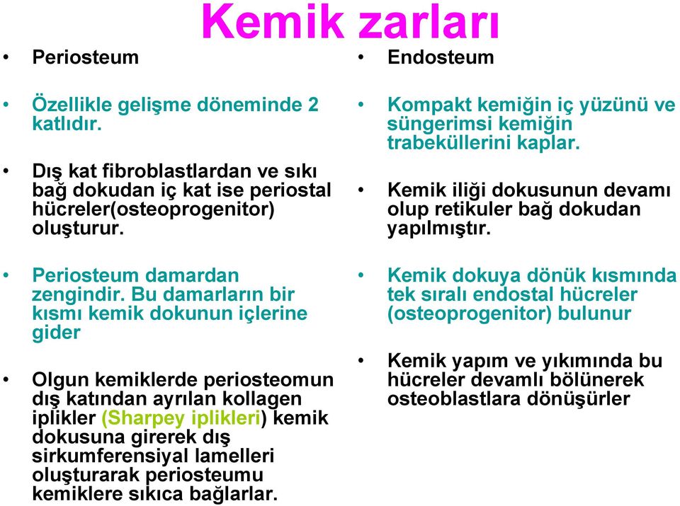 Bu damarların bir kısmı kemik dokunun içlerine gider Olgun kemiklerde periosteomun dış katından ayrılan kollagen iplikler (Sharpey iplikleri) kemik dokusuna girerek dış sirkumferensiyal