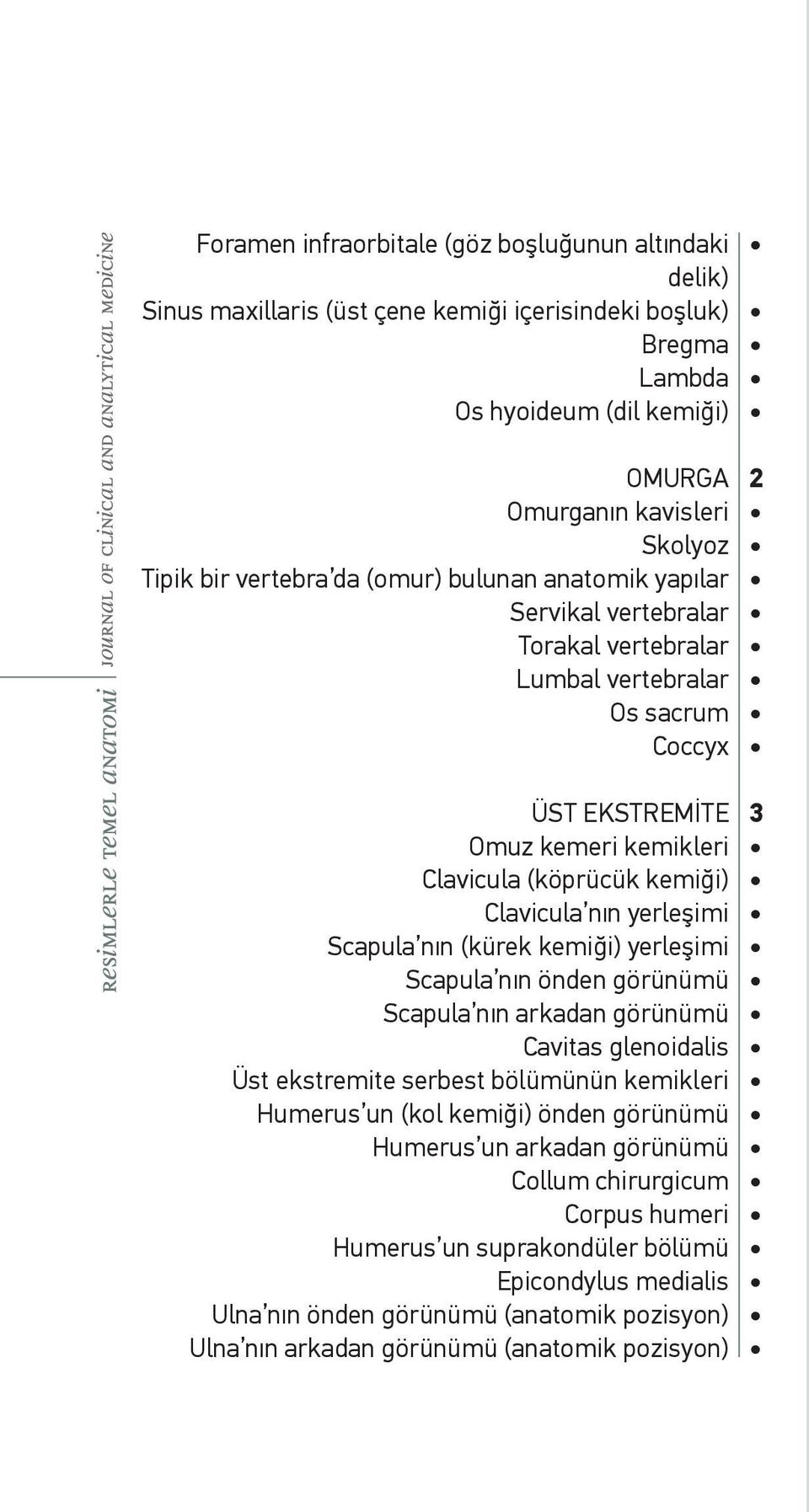 yerleşimi Scapula nın (kürek kemiği) yerleşimi Scapula nın önden görünümü Scapula nın arkadan görünümü Cavitas glenoidalis Üst ekstremite serbest bölümünün kemikleri Humerus un (kol kemiği) önden