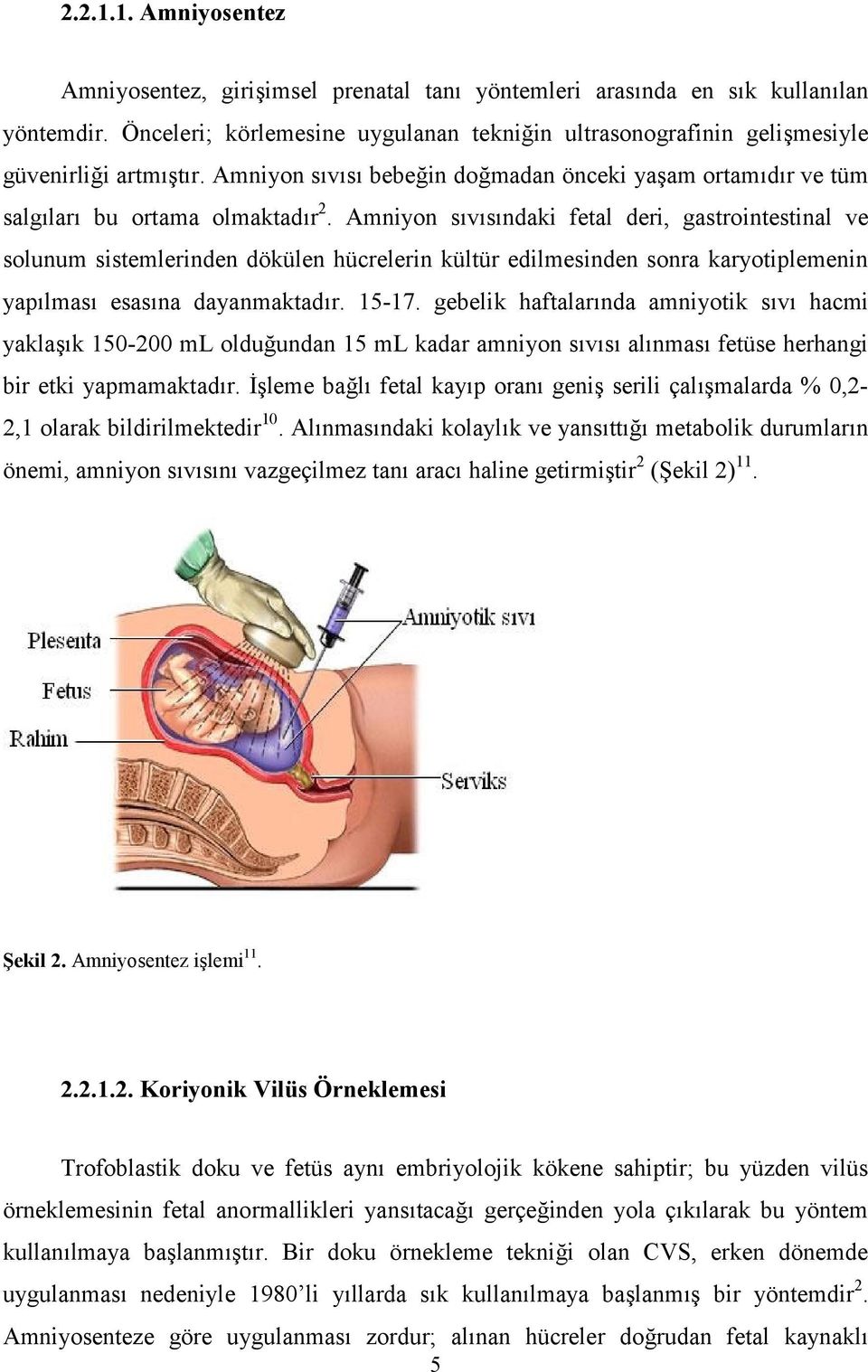 Amniyon sıvısındaki fetal deri, gastrointestinal ve solunum sistemlerinden dökülen hücrelerin kültür edilmesinden sonra karyotiplemenin yapılması esasına dayanmaktadır. 15-17.