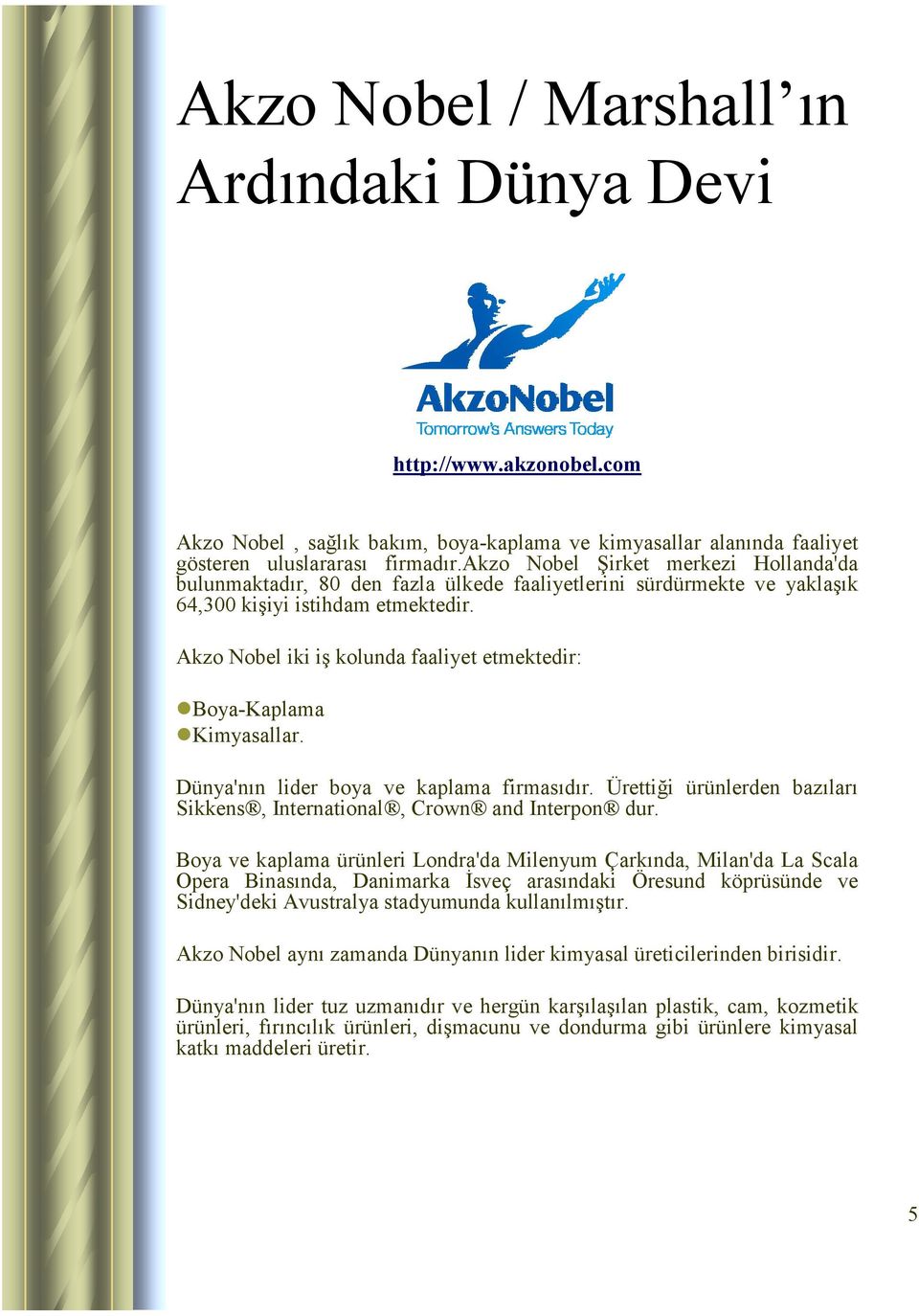 Akzo Nobel iki iş kolunda faaliyet etmektedir: Boya-Kaplama Kimyasallar. Dünya'nın lider boya ve kaplama firmasıdır. Ürettiği ürünlerden bazıları Sikkens, International, Crown and Interpon dur.