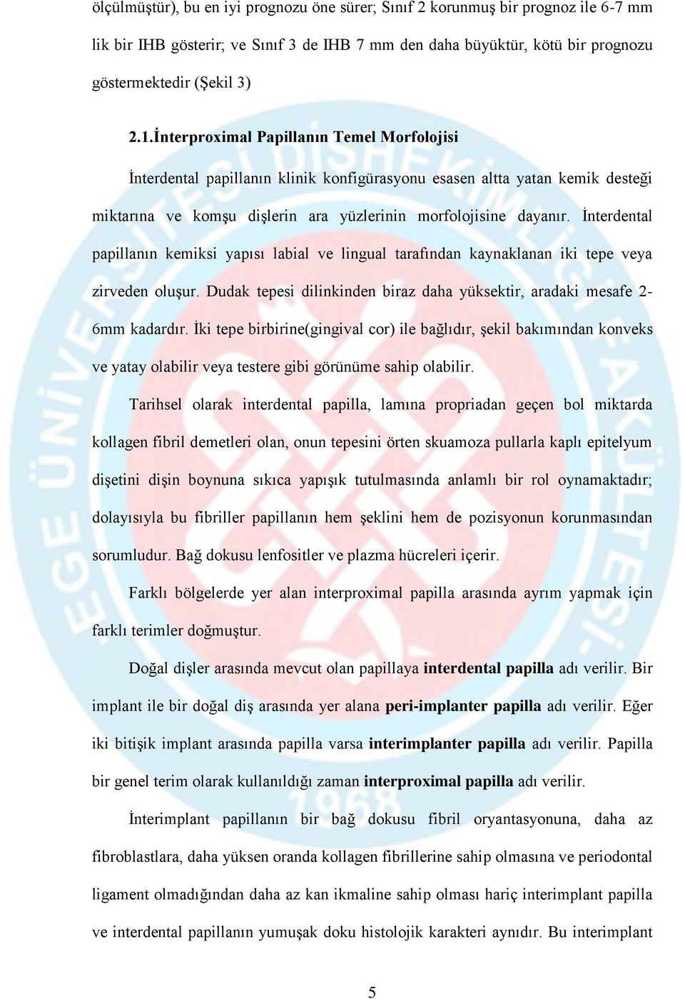 İnterdental papillanın kemiksi yapısı labial ve lingual tarafından kaynaklanan iki tepe veya zirveden oluşur. Dudak tepesi dilinkinden biraz daha yüksektir, aradaki mesafe 2-6mm kadardır.