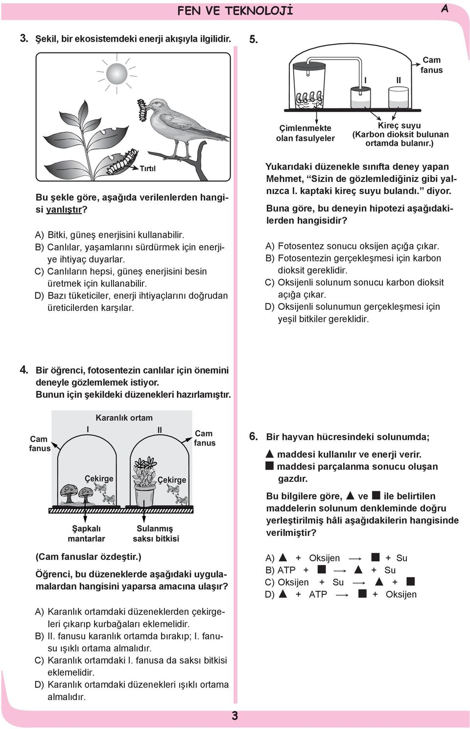 C) Canlıların hepsi, güneş enerjisini besin üretmek için kullanabilir. D) Bazı tüketiciler, enerji ihtiyaçlarını doğrudan üreticilerden karşılar.