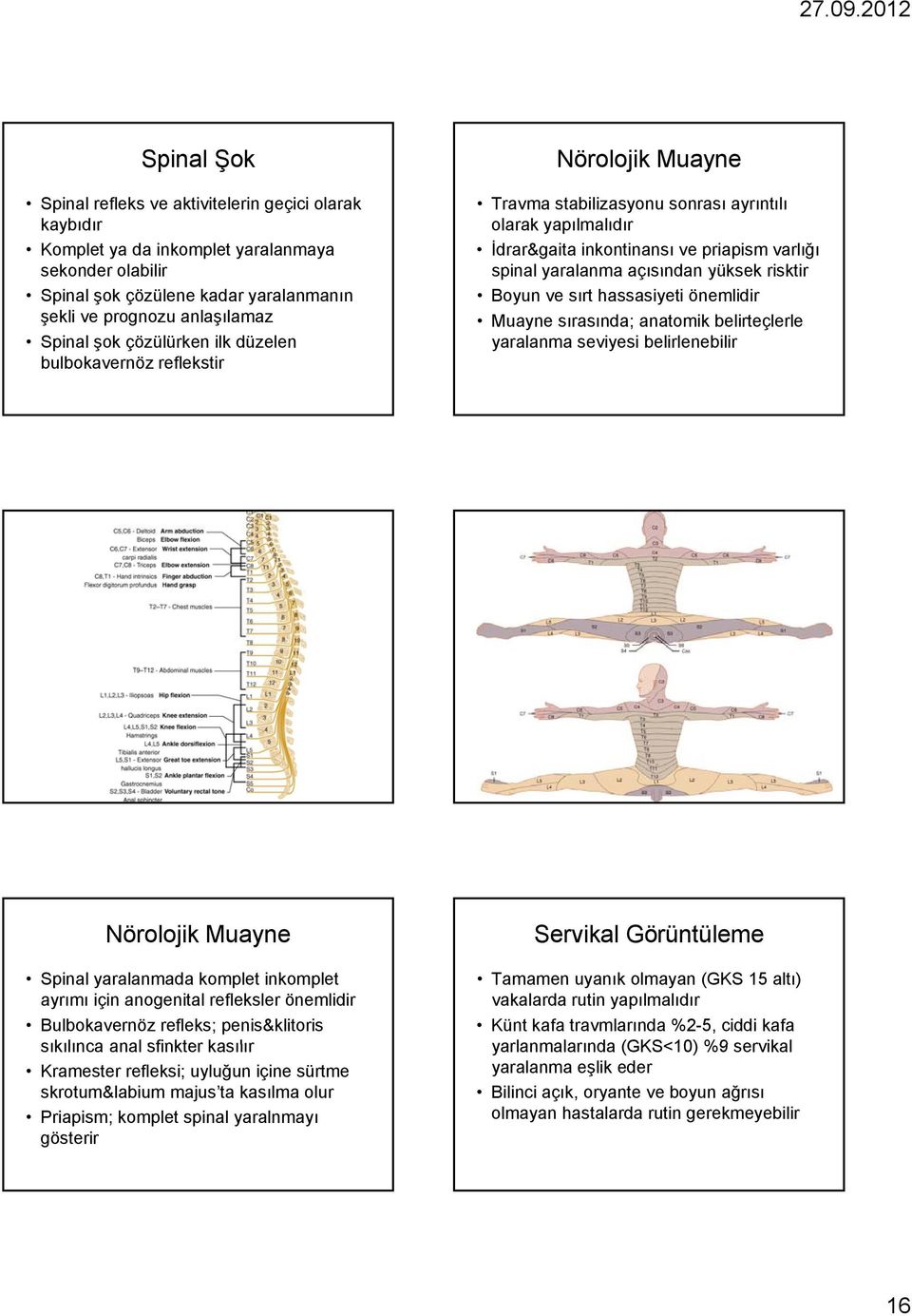 yüksek risktir Boyun ve sırt hassasiyeti önemlidir Muayne sırasında; anatomik belirteçlerle yaralanma seviyesi belirlenebilir Nörolojik Muayne Spinal yaralanmada komplet inkomplet ayrımı için