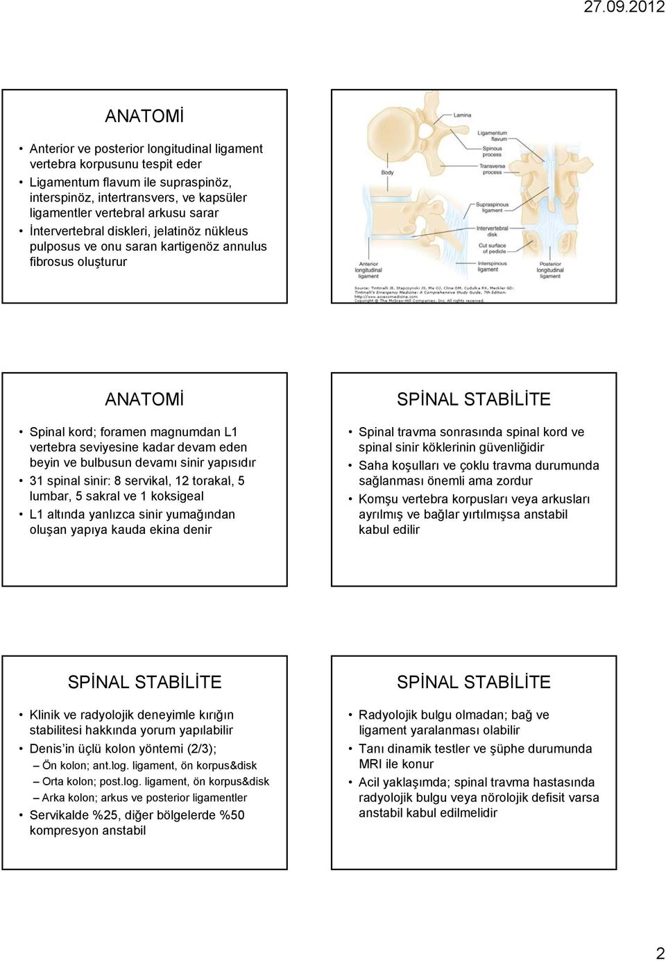 devamı sinir yapısıdır 31 spinal sinir: 8 servikal, 12 torakal, 5 lumbar, 5 sakral ve 1 koksigeal L1 altında yanlızca sinir yumağından oluşan yapıya kauda ekina denir SPİNAL STABİLİTE Spinal travma