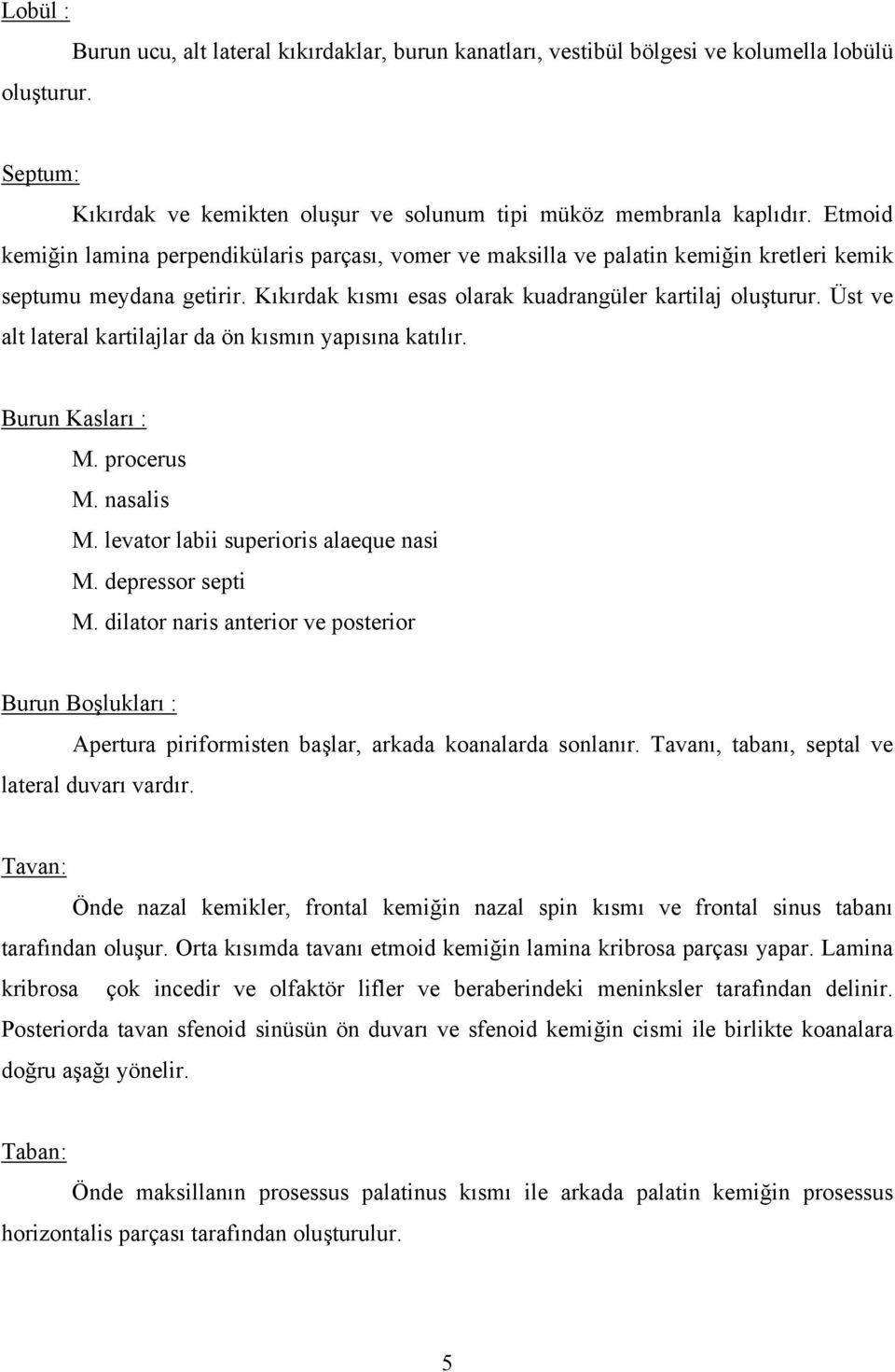 Üst ve alt lateral kartilajlar da ön kısmın yapısına katılır. Burun Kasları : M. procerus M. nasalis M. levator labii superioris alaeque nasi M. depressor septi M.