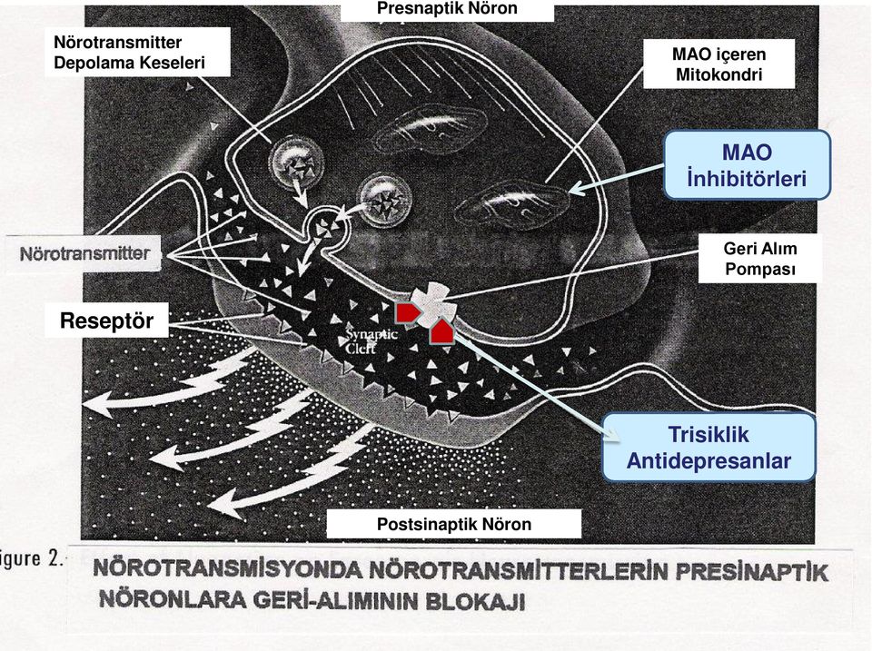 İnhibitörleri Geri Alım Pompası