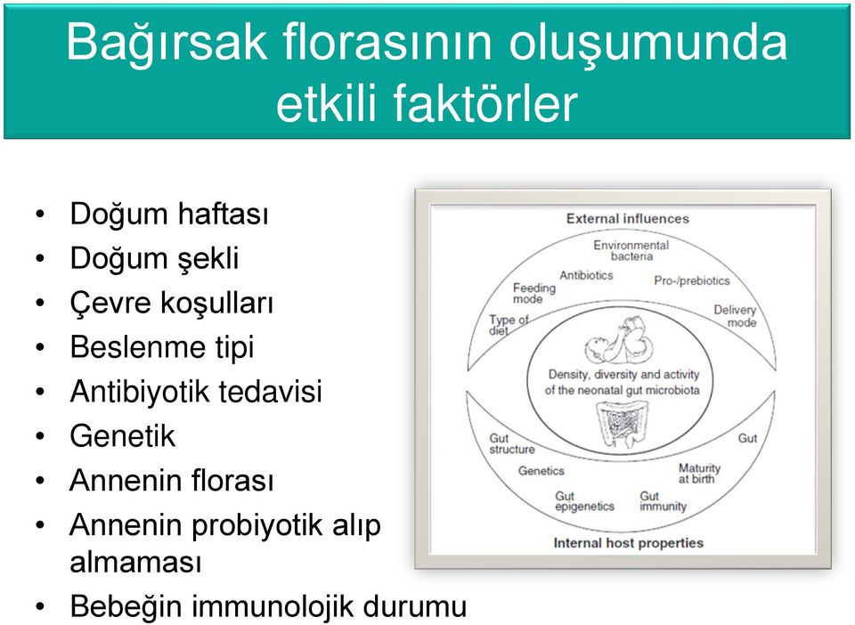 tipi Antibiyotik tedavisi Genetik Annenin florası