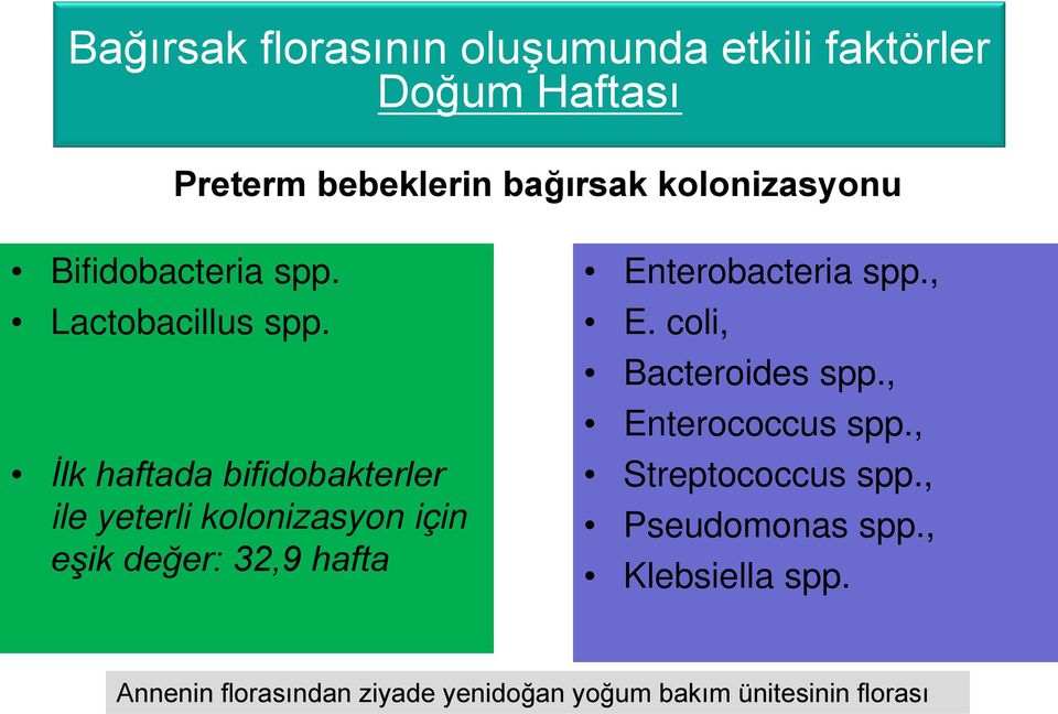 İlk haftada bifidobakterler ile yeterli kolonizasyon için eşik değer: 32,9 hafta Enterobacteria spp.