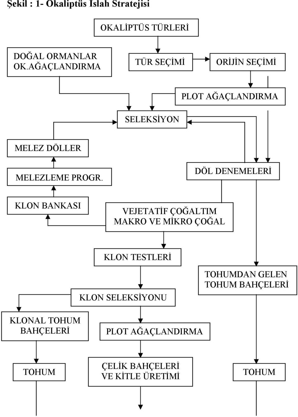 DÖL DENEMELERİ KLON BANKASI VEJETATİF ÇOĞALTIM MAKRO VE MİKRO ÇOĞAL KLON TESTLERİ KLON