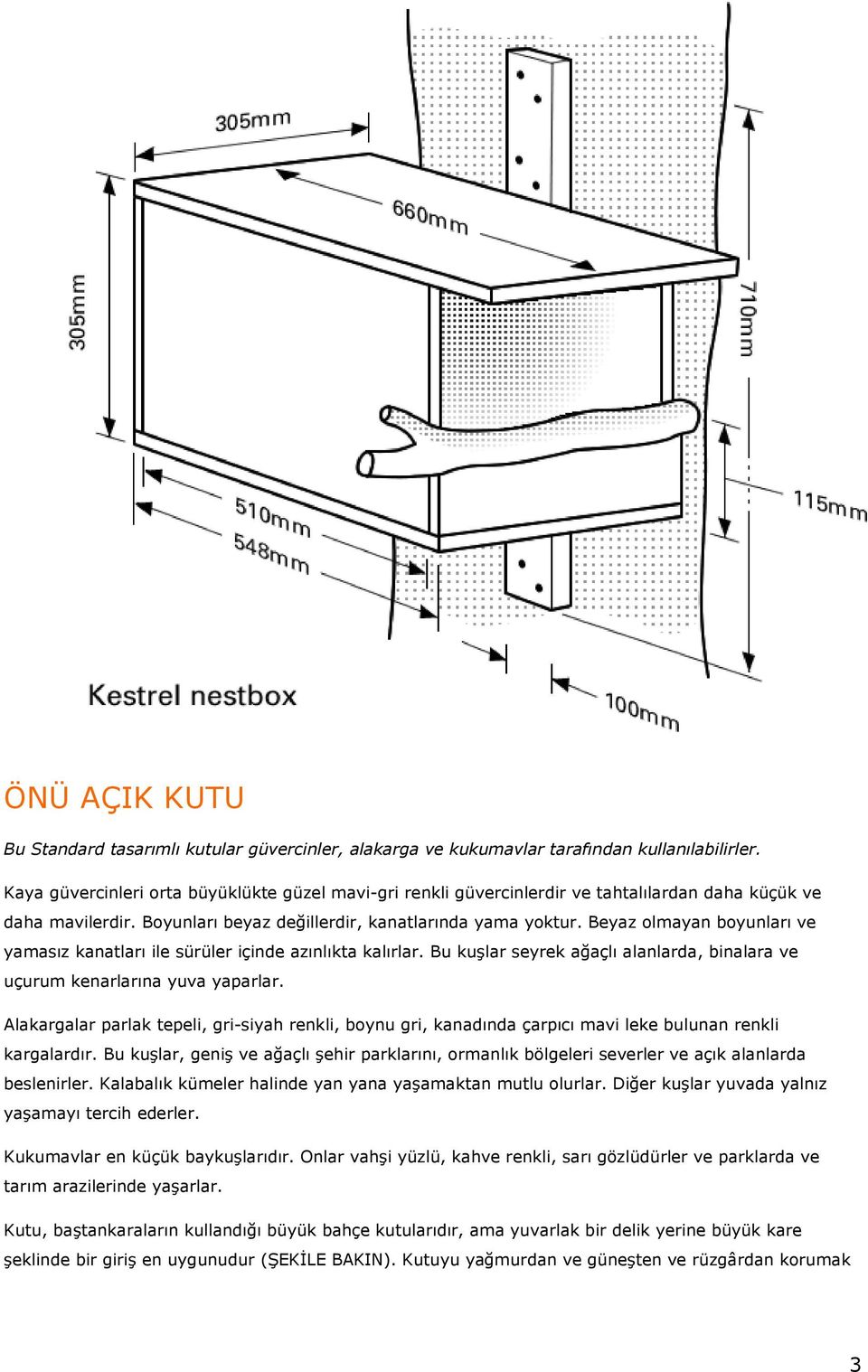 Beyaz olmayan boyunları ve yamasız kanatları ile sürüler içinde azınlıkta kalırlar. Bu kuşlar seyrek ağaçlı alanlarda, binalara ve uçurum kenarlarına yuva yaparlar.