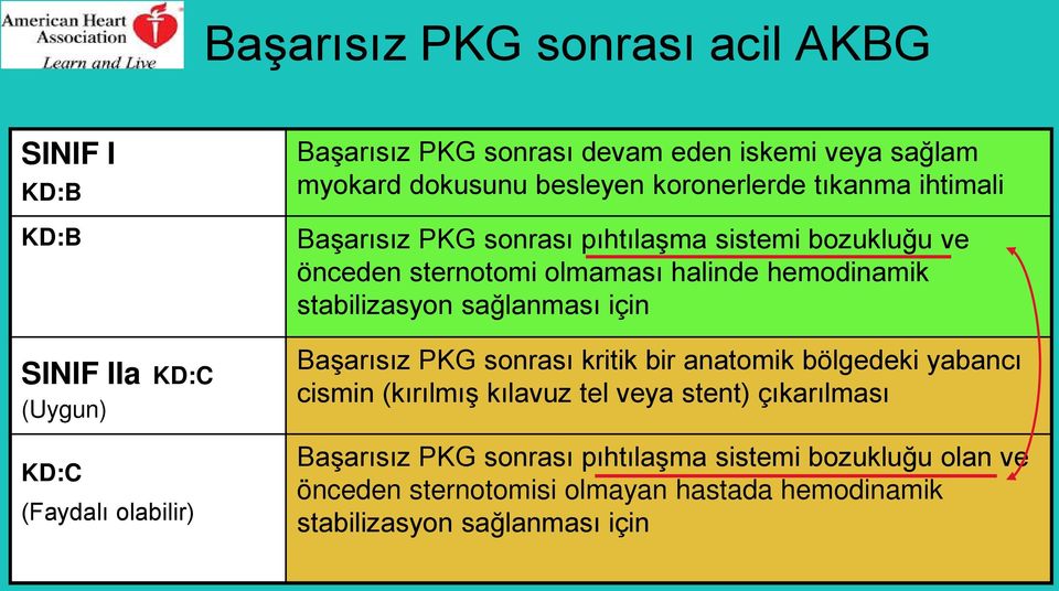 halinde hemodinamik stabilizasyon sağlanması için Başarısız PKG sonrası kritik bir anatomik bölgedeki yabancı cismin (kırılmış kılavuz tel veya