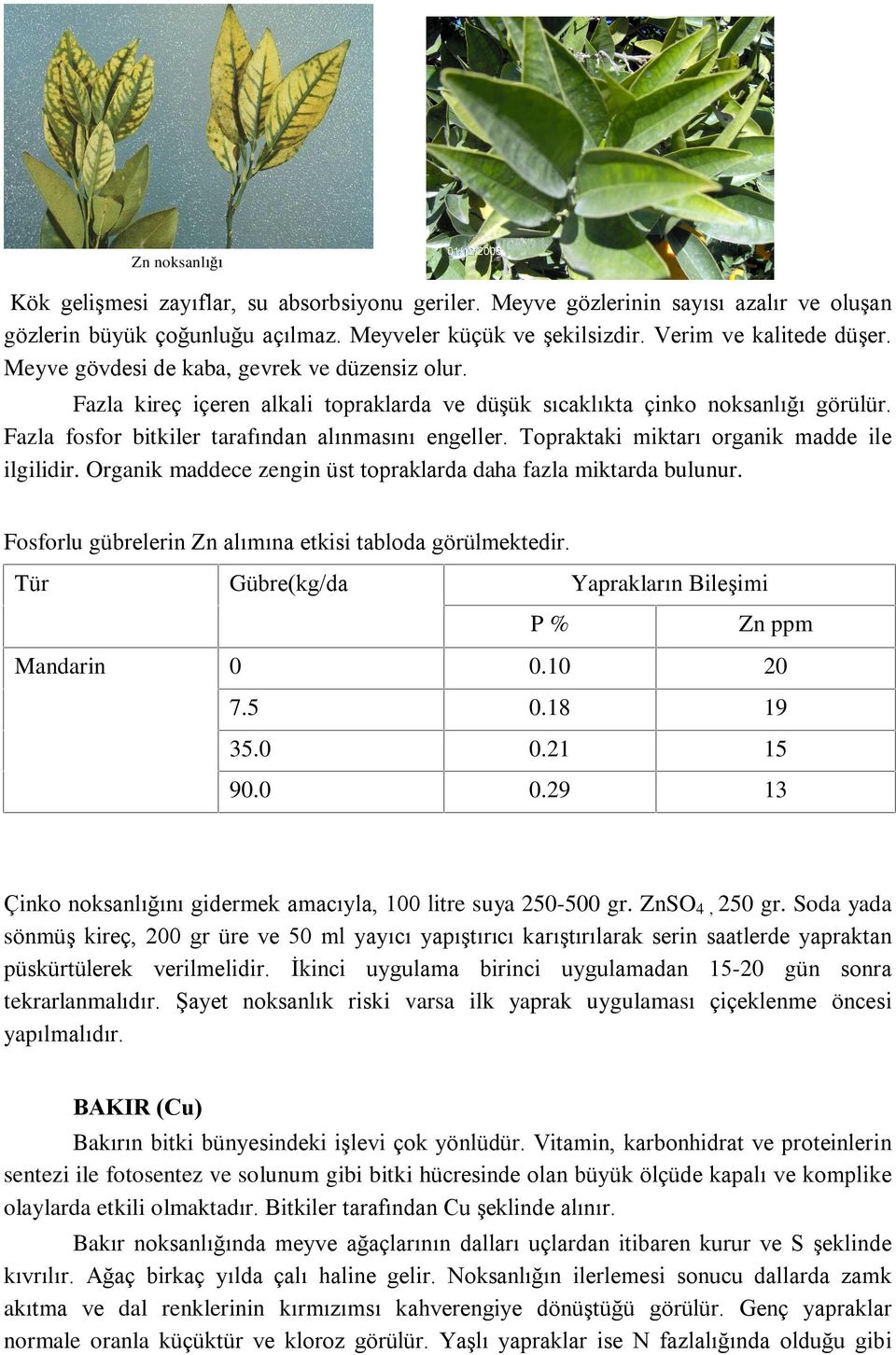 Topraktaki miktarý organik madde ile ilgilidir. Organik maddece zengin üst topraklarda daha fazla miktarda bulunur. Fosforlu gübrelerin Zn alýmýna etkisi tabloda görülmektedir.