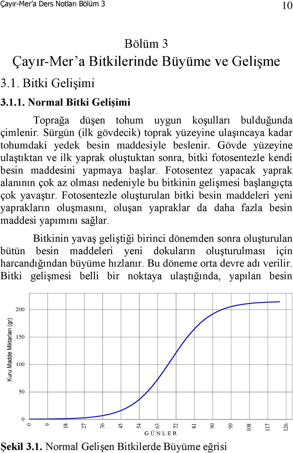 Gövde yüzeyine ulaştıktan ve ilk yaprak oluştuktan sonra, bitki fotosentezle kendi besin maddesini yapmaya başlar.