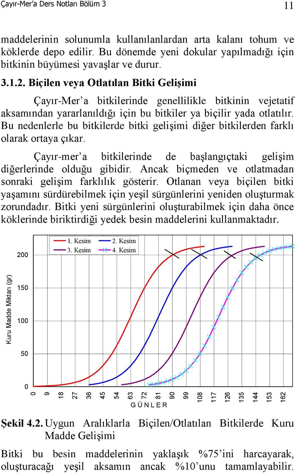 Bu nedenlerle bu bitkilerde bitki gelişimi diğer bitkilerden farklı olarak ortaya çıkar. Çayır-mer a bitkilerinde de başlangıçtaki gelişim diğerlerinde olduğu gibidir.