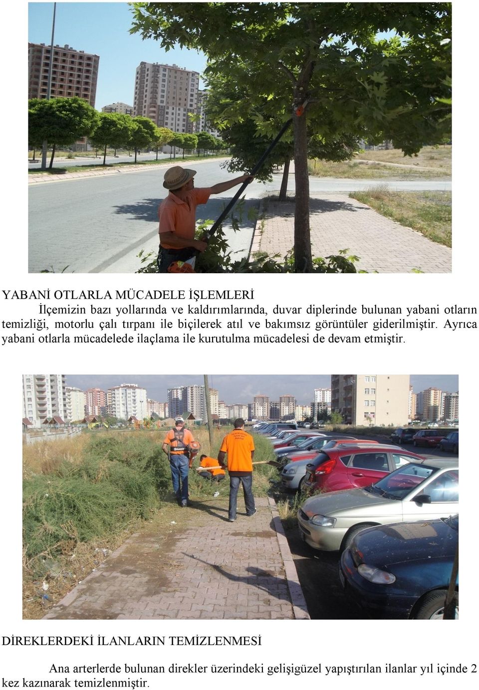 Ayrıca yabani otlarla mücadelede ilaçlama ile kurutulma mücadelesi de devam etmiştir.