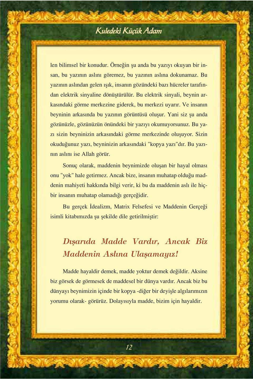 Ve insanın beyninin arkasında bu yazının görüntüsü oluşur. Yani siz şu anda gözünüzle, gözünüzün önündeki bir yazıyı okumuyorsunuz. Bu yazı sizin beyninizin arkasındaki görme merkezinde oluşuyor.