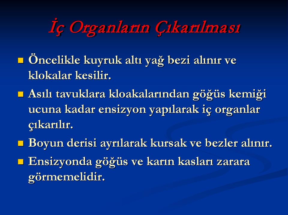 Asılı tavuklara kloakalarından göğüs kemiği ucuna kadar ensizyon