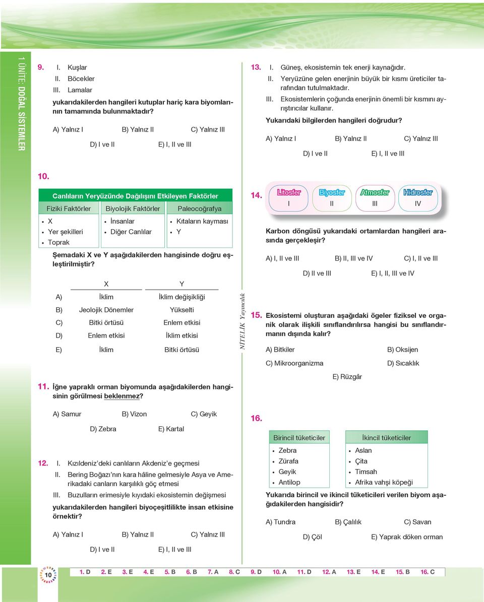 Yukarıdaki bilgilerden hangileri doğrudur? A) Yalnız B) Yalnız C) Yalnız D) ve E), ve 10.