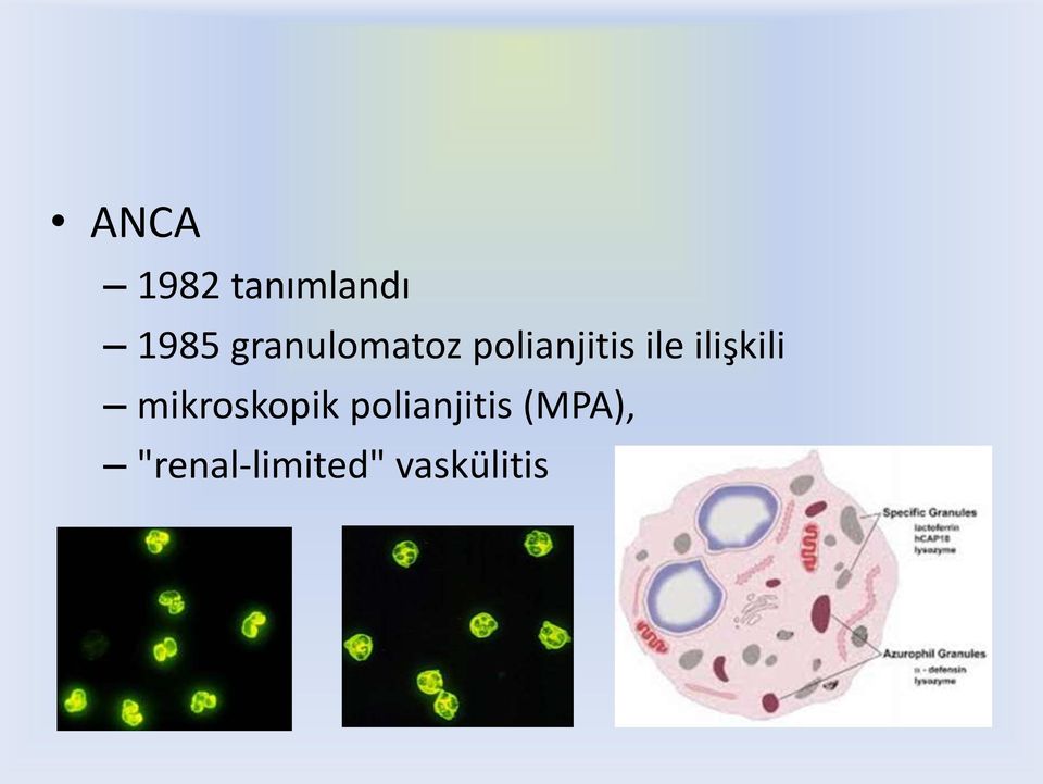 ilişkili mikroskopik