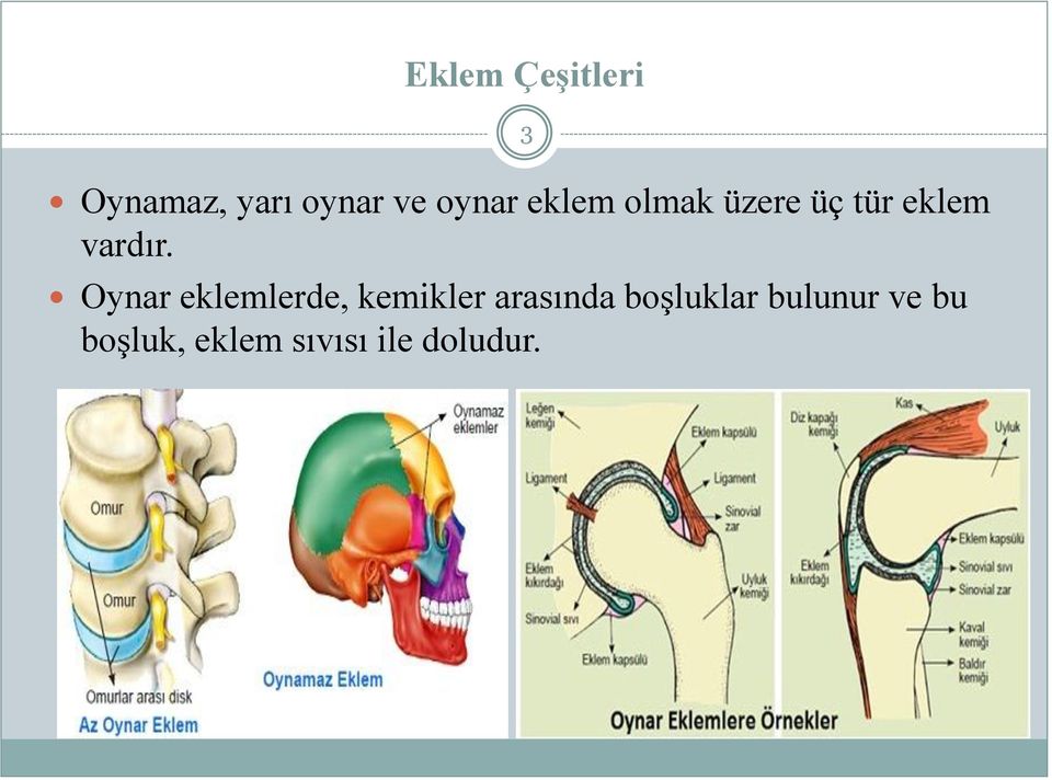 Oynar eklemlerde, kemikler arasında