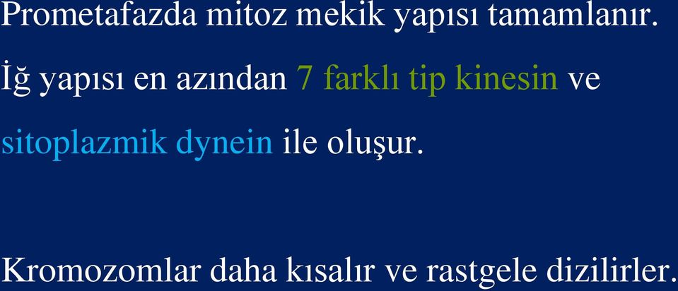 İğ yapısı en azından 7 farklı tip kinesin