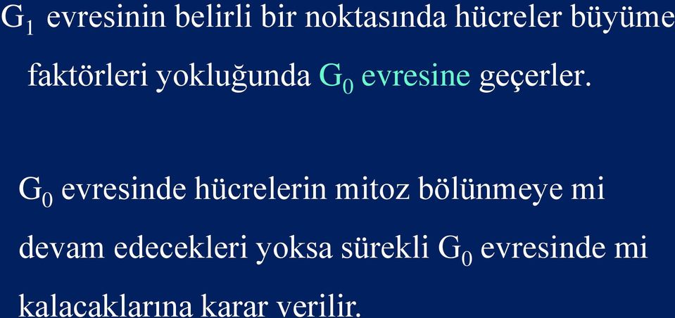 G 0 evresinde hücrelerin mitoz bölünmeye mi devam